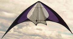 Purple Gemini flying